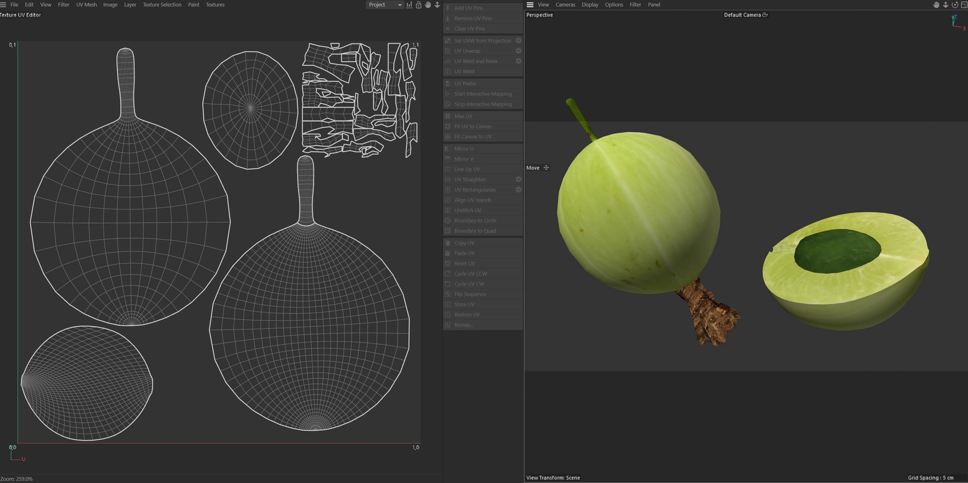 Gooseberry Fruit model https://p.turbosquid.com/ts-thumb/MR/EwJXcV/gI/uv/jpg/1779205160/1920x1080/fit_q87/19a361dec5b71ddb383e2ffe399542217010c191/uv.jpg