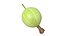 Gooseberry Fruit