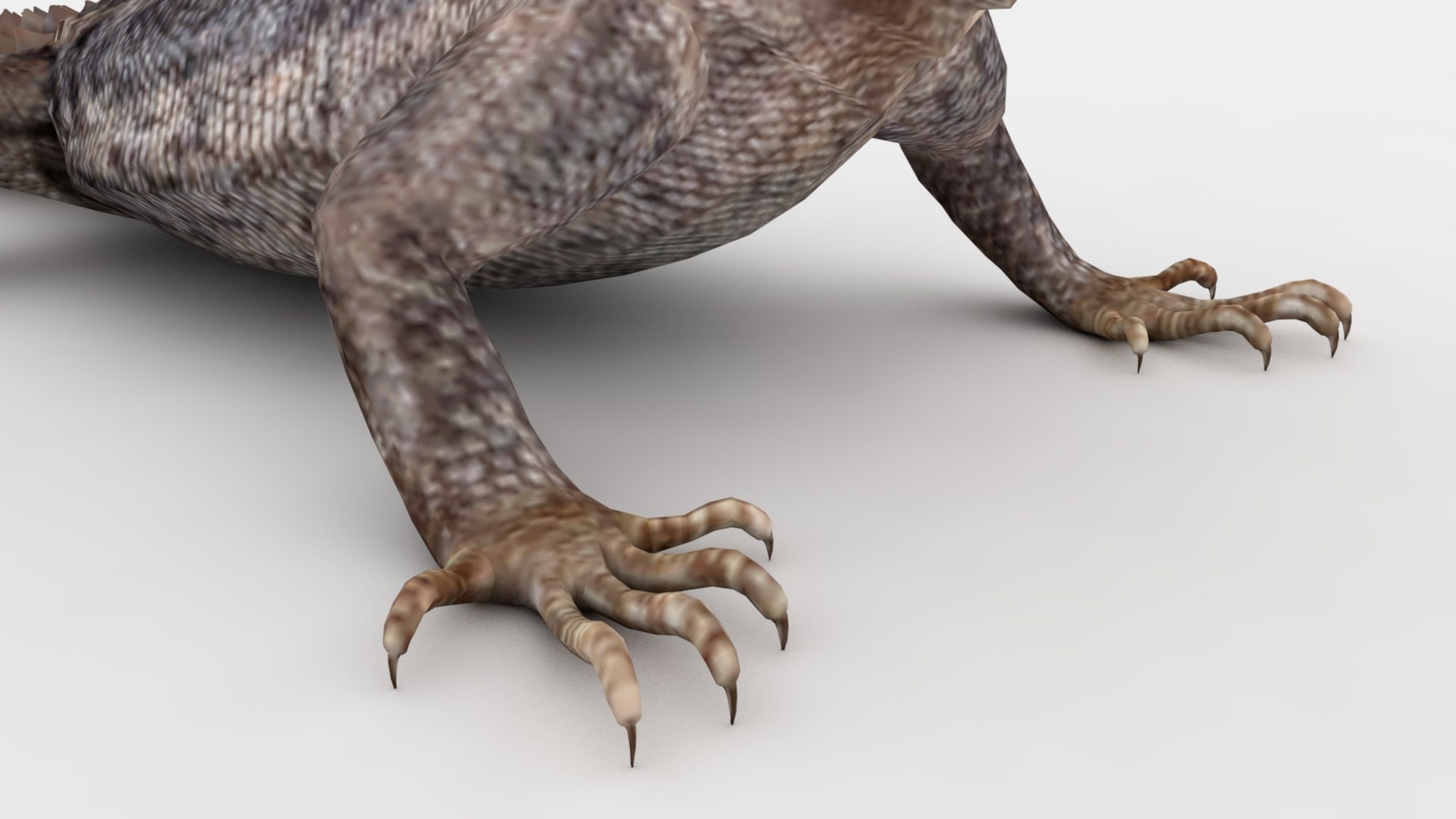 Lizard Rigged And Animated 3D - TurboSquid 2348755