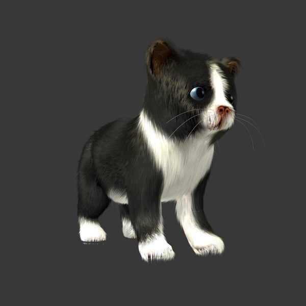 3d kitten animations rig