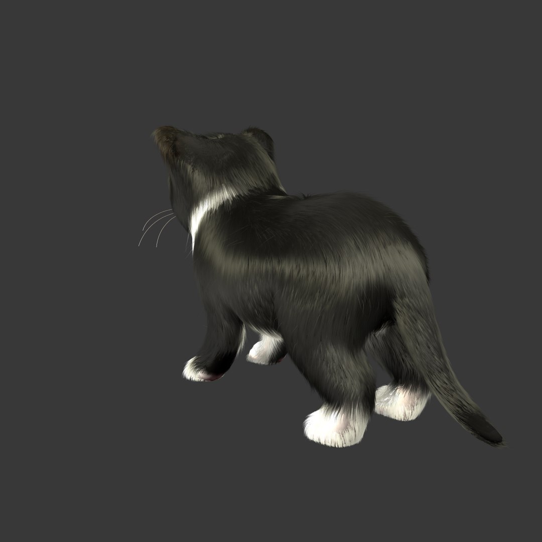 3d Kitten Animations Rig