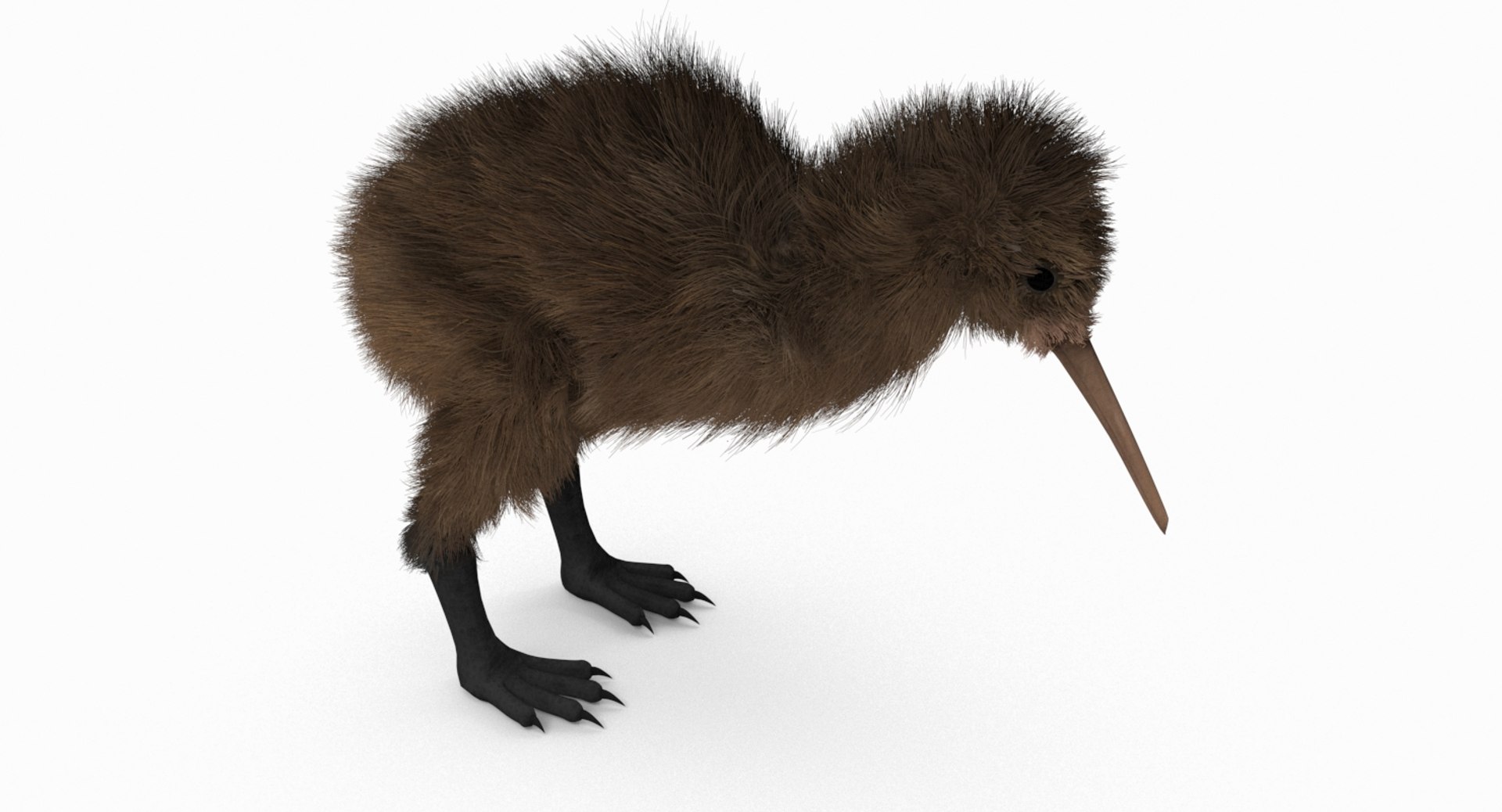 kiwi bird fur 3D https://p.turbosquid.com/ts-thumb/MR/W11t3r/7S6X0h6x/kiwi_r5/jpg/1507390294/1920x1080/fit_q87/3b6787723cc09291875d135236188590f170d146/kiwi_r5.jpg