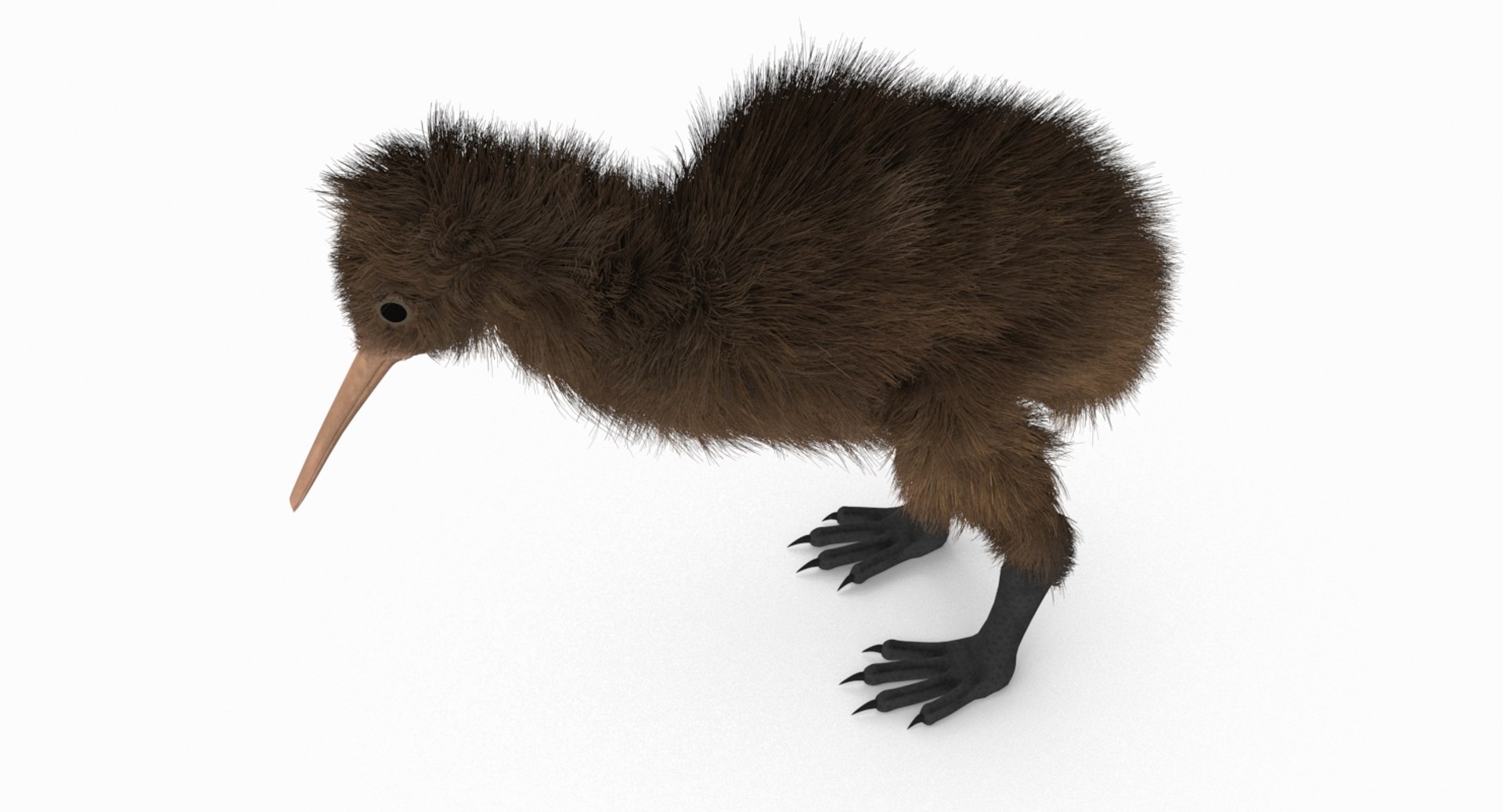 kiwi bird fur 3D https://p.turbosquid.com/ts-thumb/MR/W11t3r/HFZfjkG7/kiwi_r8/jpg/1507390294/1920x1080/fit_q87/83806f1b3619c0c6b1f37d6c54eb905b02c84049/kiwi_r8.jpg