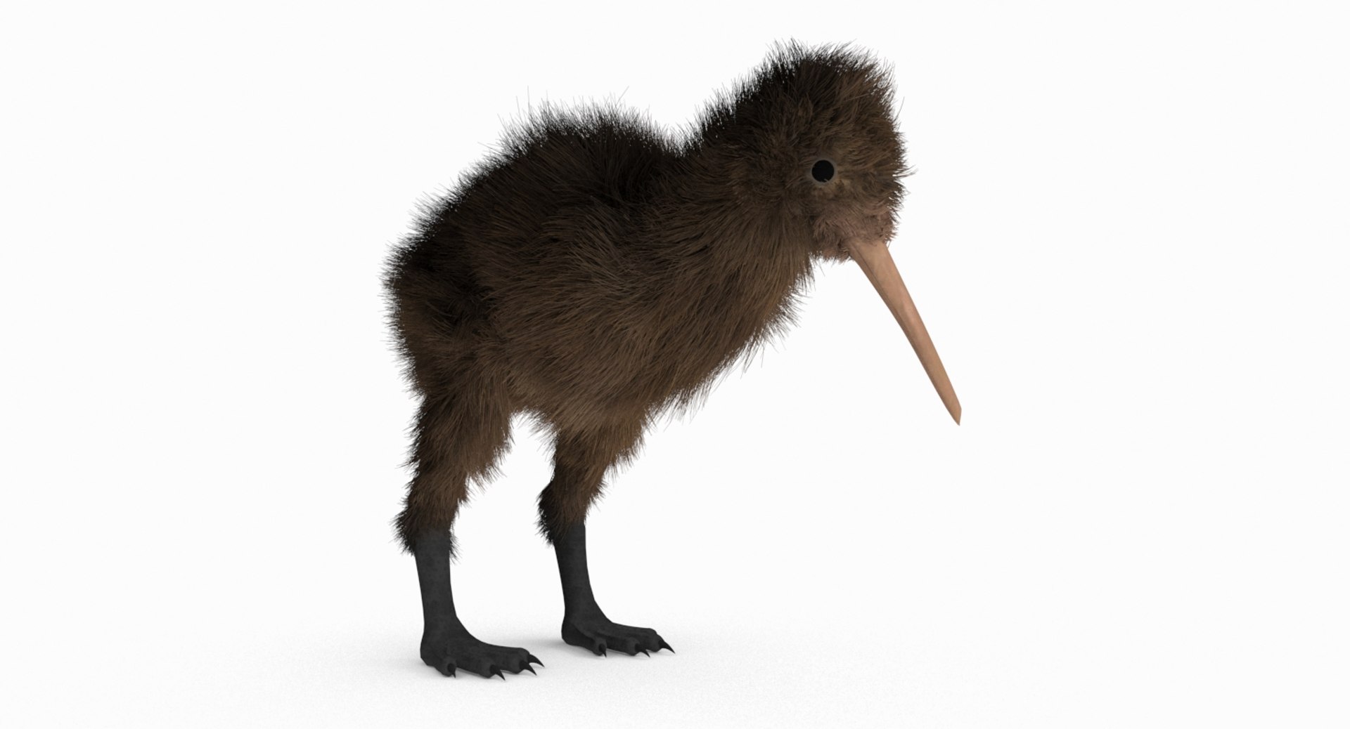 kiwi bird fur 3D https://p.turbosquid.com/ts-thumb/MR/W11t3r/OA4FQ3wi/kiwi_r3/jpg/1507390294/1920x1080/fit_q87/0e1bfce7fc5e3c7f818f5af03ecfce8bcda6ca0e/kiwi_r3.jpg