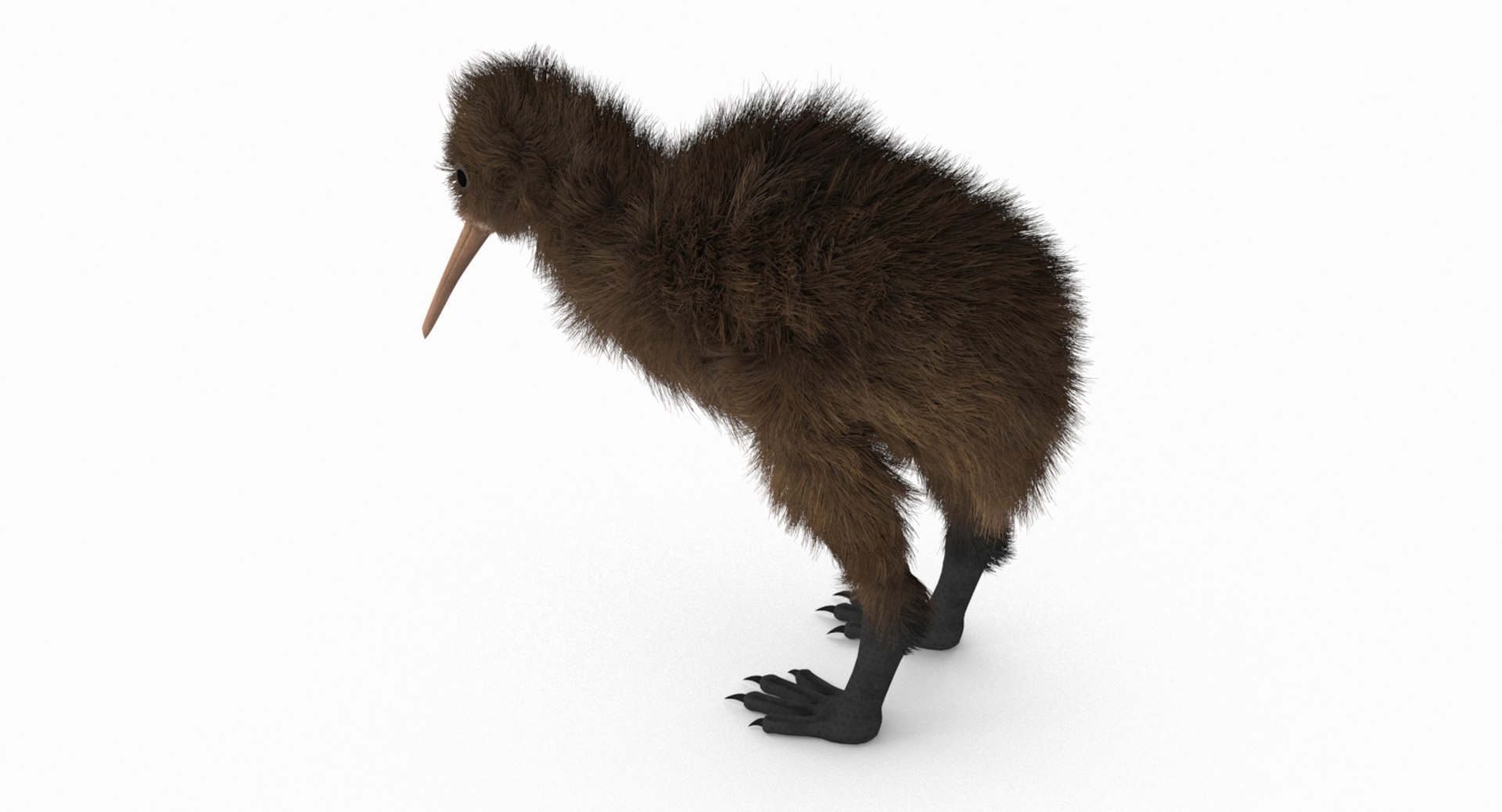 kiwi bird fur 3D https://p.turbosquid.com/ts-thumb/MR/W11t3r/gQWbNtau/kiwi_r6/jpg/1507390294/1920x1080/fit_q87/c9970d3139e1de2b61794909a80e6c731bcc6cc2/kiwi_r6.jpg
