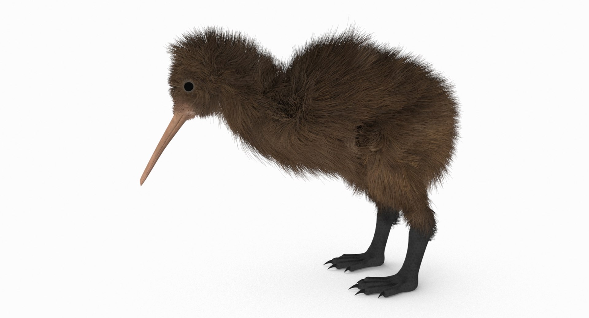 kiwi bird fur 3D https://p.turbosquid.com/ts-thumb/MR/W11t3r/pXrLzN1u/kiwi_r4/jpg/1507390294/1920x1080/fit_q87/94f2b6112e6e72951b484b0a5ff781cee835514f/kiwi_r4.jpg
