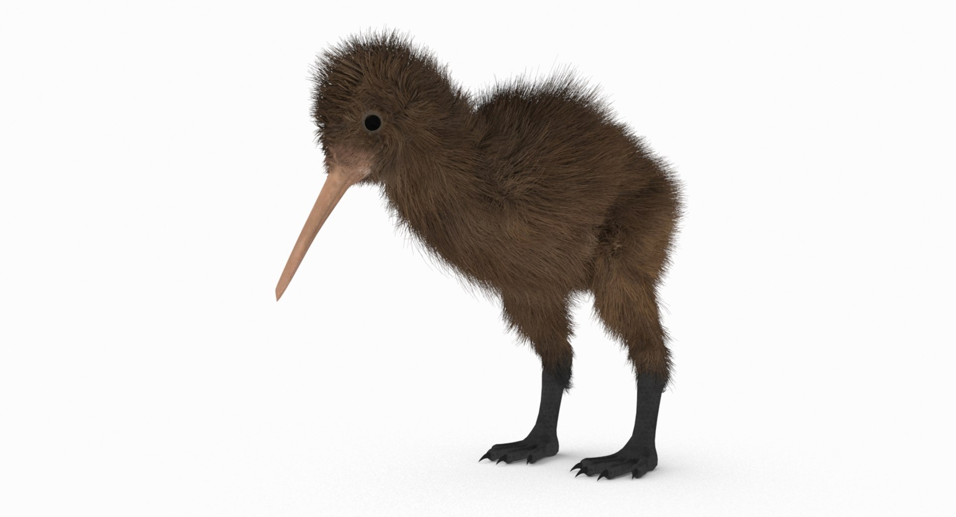 kiwi bird fur 3D https://p.turbosquid.com/ts-thumb/MR/W11t3r/s0BWOnxI/kiwi_r3b/jpg/1507390294/1920x1080/fit_q87/0d333e970f16d0197000c990db9d0bbb5e2d922a/kiwi_r3b.jpg