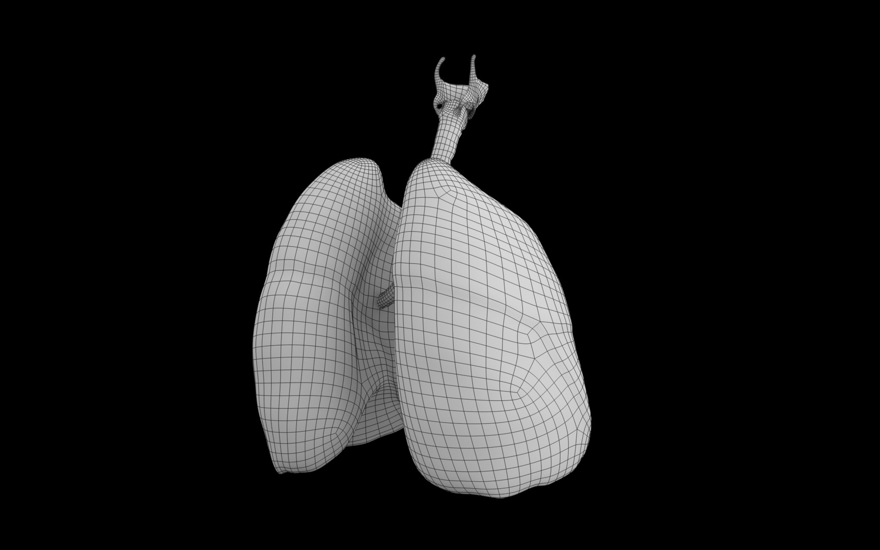3D Human Lungs Healthy and Damaged Collection https://p.turbosquid.com/ts-thumb/MR/WOaE5C/Lk/lungs_wf_02/jpg/1655878559/1920x1080/fit_q87/3fb2ce8df52c787dcd1623c05a51ec7793b8a40b/lungs_wf_02.jpg
