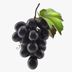 bunch fresh black grapes 3D model