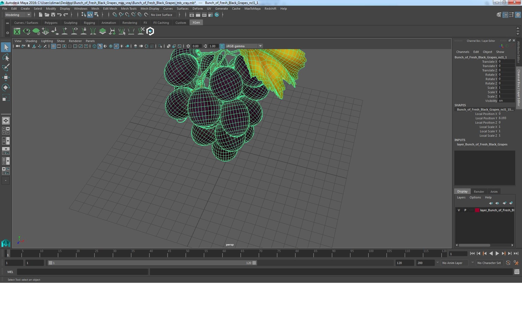 bunch fresh black grapes 3D model https://p.turbosquid.com/ts-thumb/MR/a9tQFq/EY7Njw05/bunchoffreshblackgrapes3dsmodel017/jpg/1593427683/1920x1080/fit_q87/881dc7d87a942ccba90ecb68a9ac94f72f6a2e02/bunchoffreshblackgrapes3dsmodel017.jpg