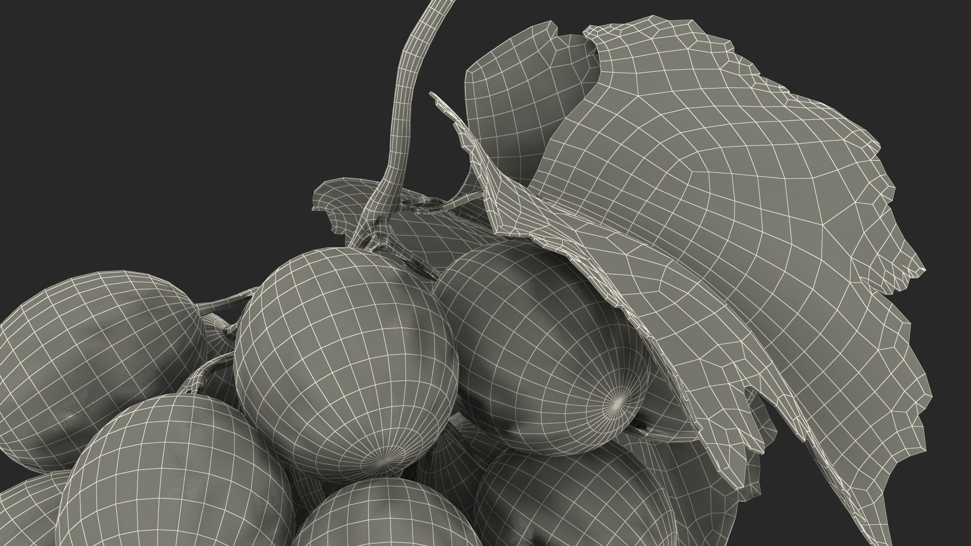 bunch fresh black grapes 3D model https://p.turbosquid.com/ts-thumb/MR/a9tQFq/FgXTtdRh/bunchoffreshblackgrapes3dsmodel024/jpg/1593427743/1920x1080/fit_q87/e04afce1f3e9d2e8482c854a6f7151f6e08abb73/bunchoffreshblackgrapes3dsmodel024.jpg