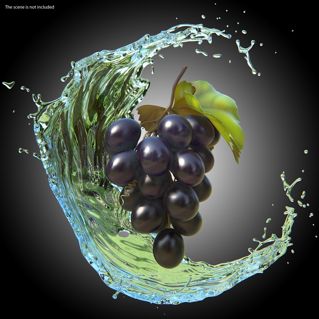 bunch fresh black grapes 3D model https://p.turbosquid.com/ts-thumb/MR/a9tQFq/FkWPizHz/bunchoffreshblackgrapes3dsmodel002/jpg/1593427564/1920x1080/fit_q87/c400d19086bbd961aaa9caf1e30fcc62aa33257f/bunchoffreshblackgrapes3dsmodel002.jpg