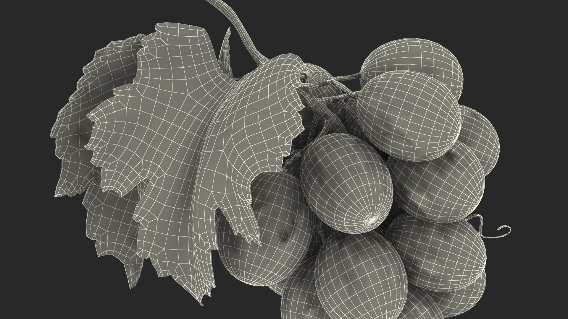 bunch fresh black grapes 3D model https://p.turbosquid.com/ts-thumb/MR/a9tQFq/JnAIuexe/bunchoffreshblackgrapes3dsmodel022/jpg/1593427727/1920x1080/fit_q87/750608a41146918197c23414392585daec569288/bunchoffreshblackgrapes3dsmodel022.jpg