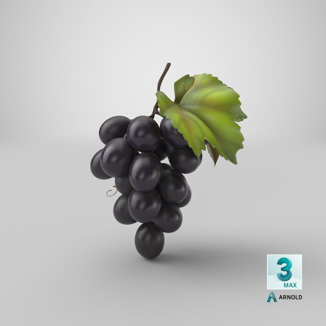 bunch fresh black grapes 3D model https://p.turbosquid.com/ts-thumb/MR/a9tQFq/LVCxGIGC/stemcell_max_arnold_render/png/1595950271/1920x1080/fit_q87/9d7ff47733f7c5fef1276dd79c4e48bb68798401/stemcell_max_arnold_render.jpg
