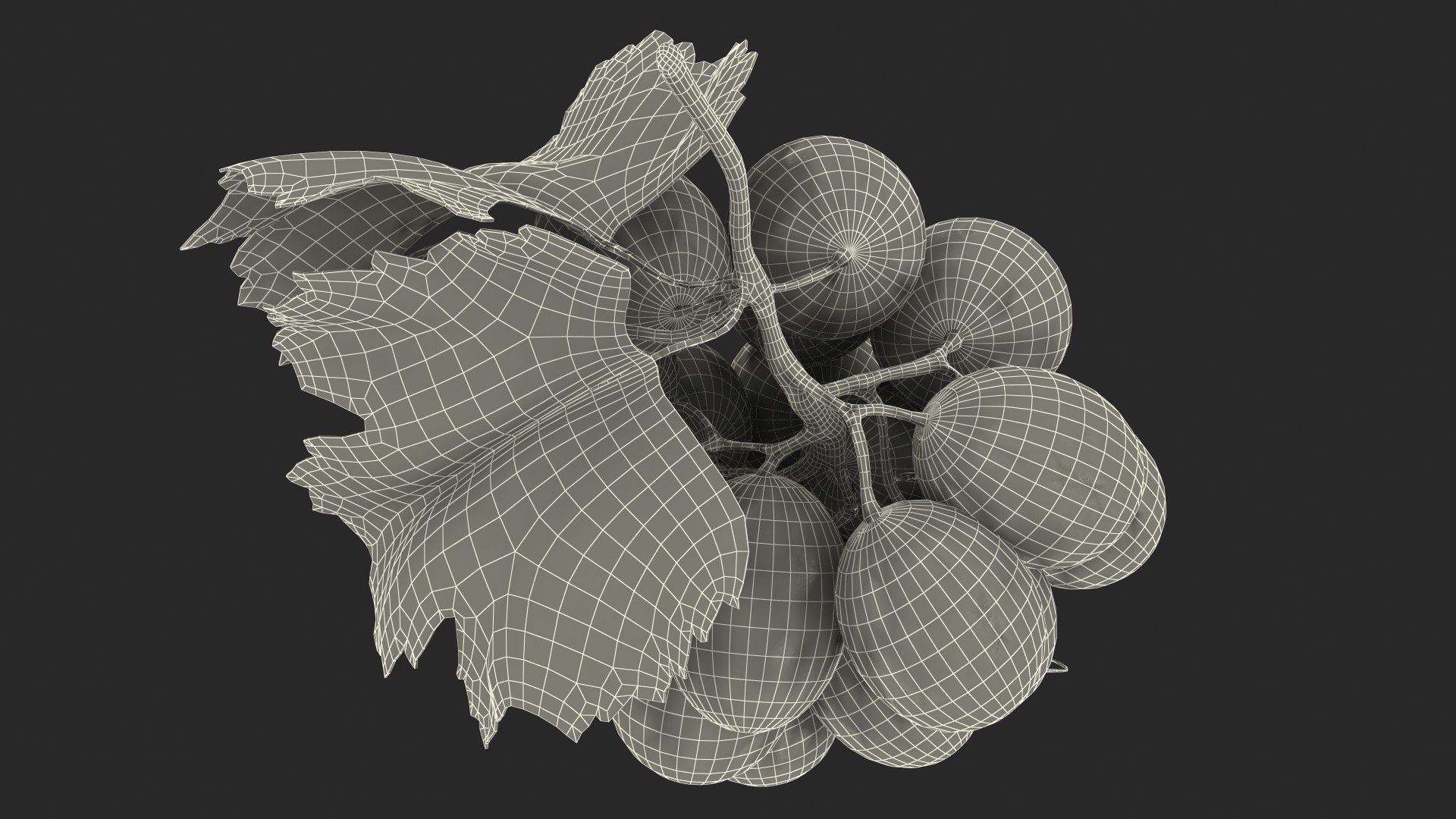 bunch fresh black grapes 3D model https://p.turbosquid.com/ts-thumb/MR/a9tQFq/LZIt4HxL/bunchoffreshblackgrapes3dsmodel019/jpg/1593427701/1920x1080/fit_q87/e0a9e625e3b4db40c9c6d87fc6202c983c69e21a/bunchoffreshblackgrapes3dsmodel019.jpg