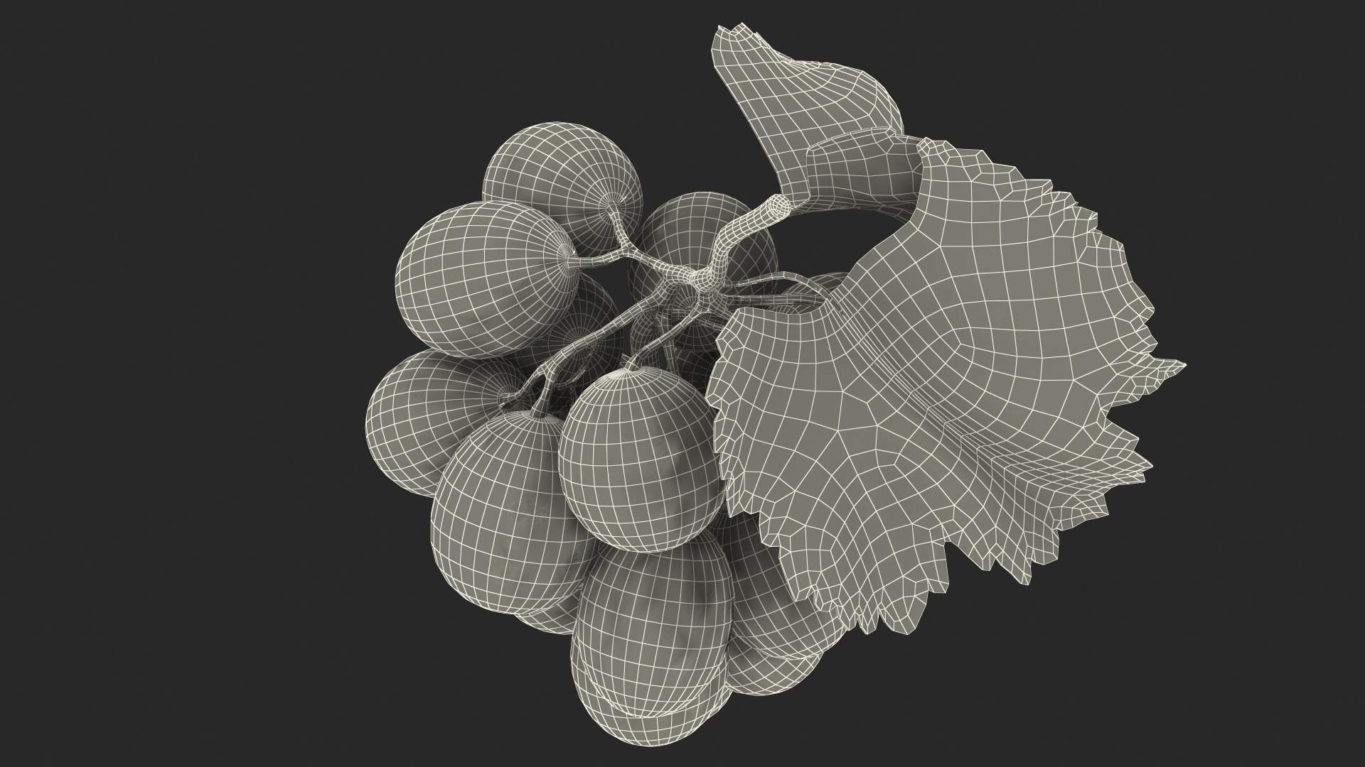 bunch fresh black grapes 3D model https://p.turbosquid.com/ts-thumb/MR/a9tQFq/a87mXK0N/bunchoffreshblackgrapes3dsmodel020/jpg/1593427710/1920x1080/fit_q87/76bed3a97b9a1c82eb30c11e140b9b81e5803929/bunchoffreshblackgrapes3dsmodel020.jpg