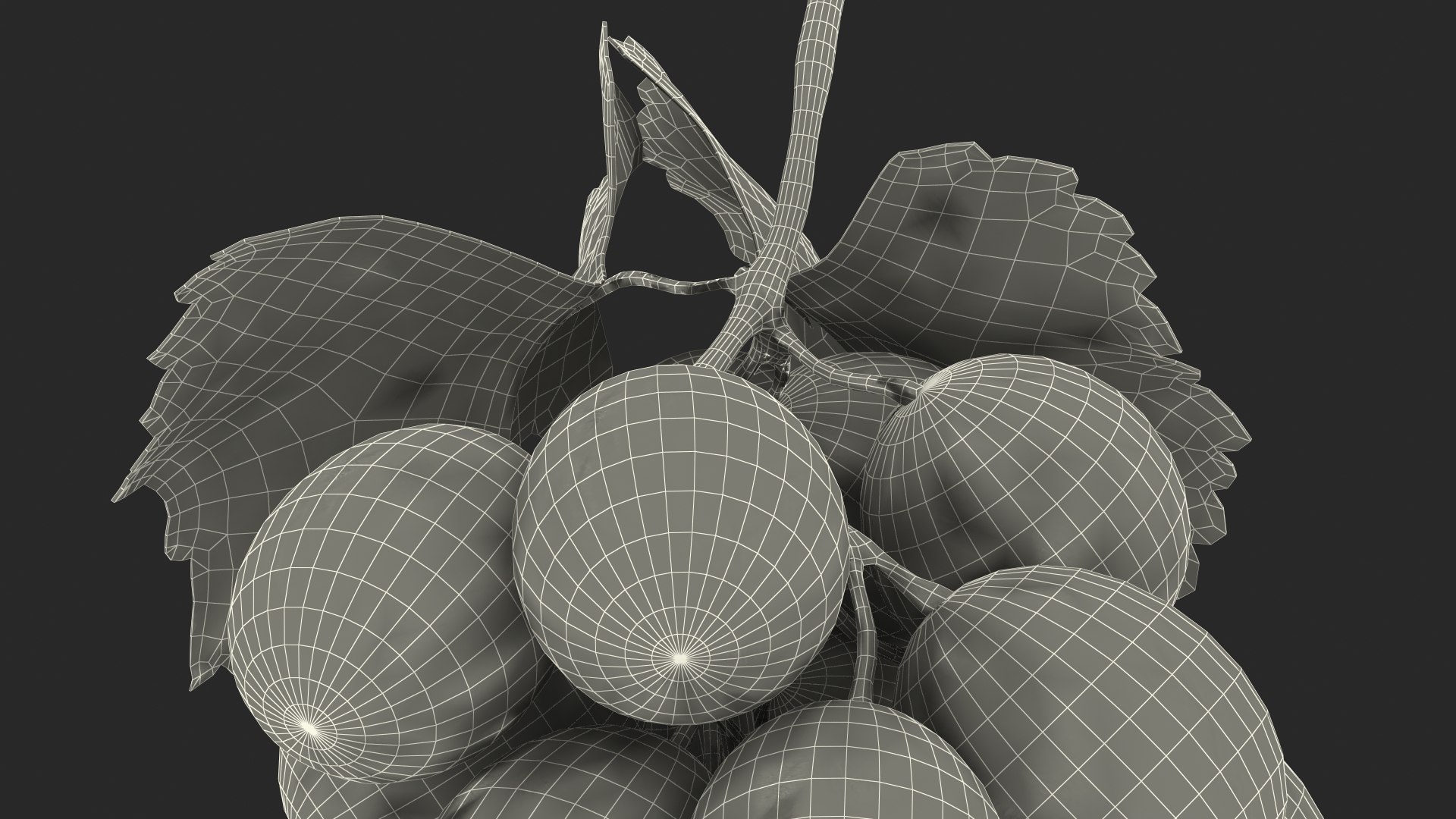 bunch fresh black grapes 3D model https://p.turbosquid.com/ts-thumb/MR/a9tQFq/muJhqCIj/bunchoffreshblackgrapes3dsmodel021/jpg/1593427719/1920x1080/fit_q87/6e880b71a6b9c2be8bff369cd50d8a3cec40329e/bunchoffreshblackgrapes3dsmodel021.jpg