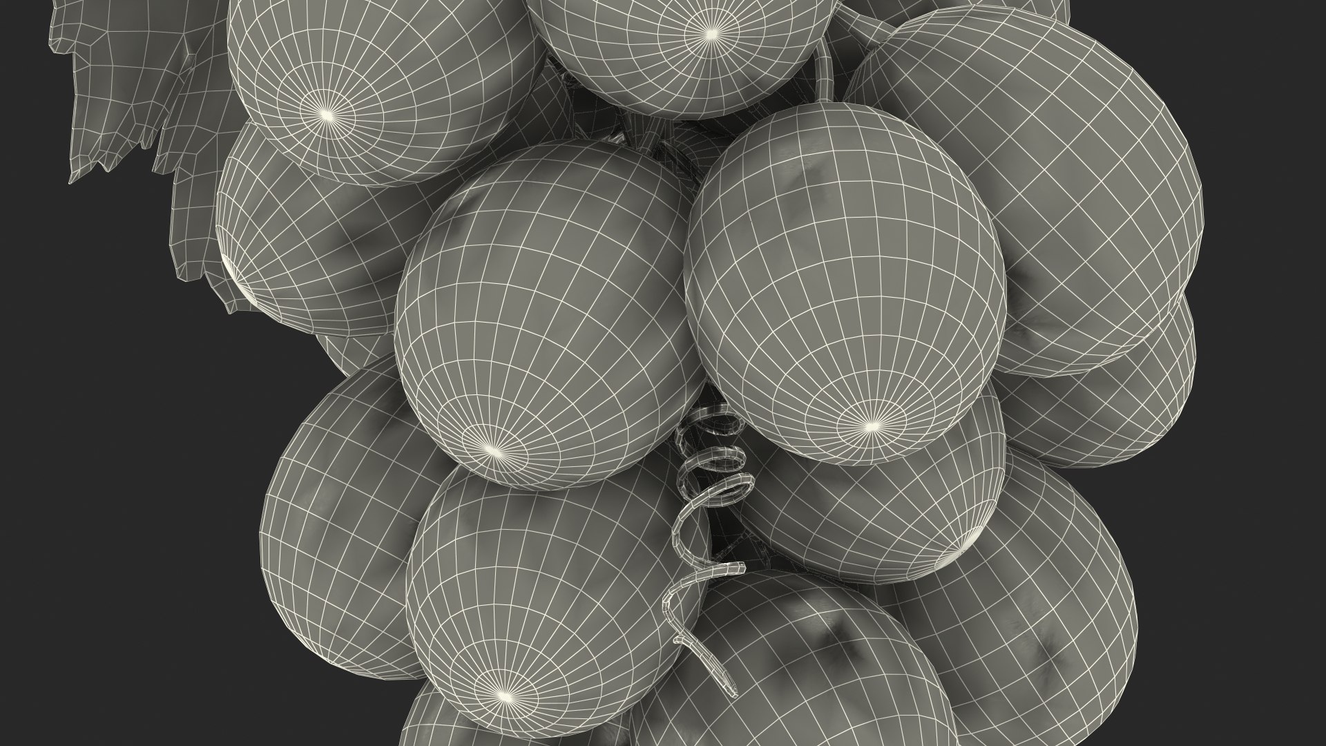 bunch fresh black grapes 3D model https://p.turbosquid.com/ts-thumb/MR/a9tQFq/ooWLRhWc/bunchoffreshblackgrapes3dsmodel023/jpg/1593427734/1920x1080/fit_q87/a83235891e356e608906ade15cd1e0f479eadeee/bunchoffreshblackgrapes3dsmodel023.jpg