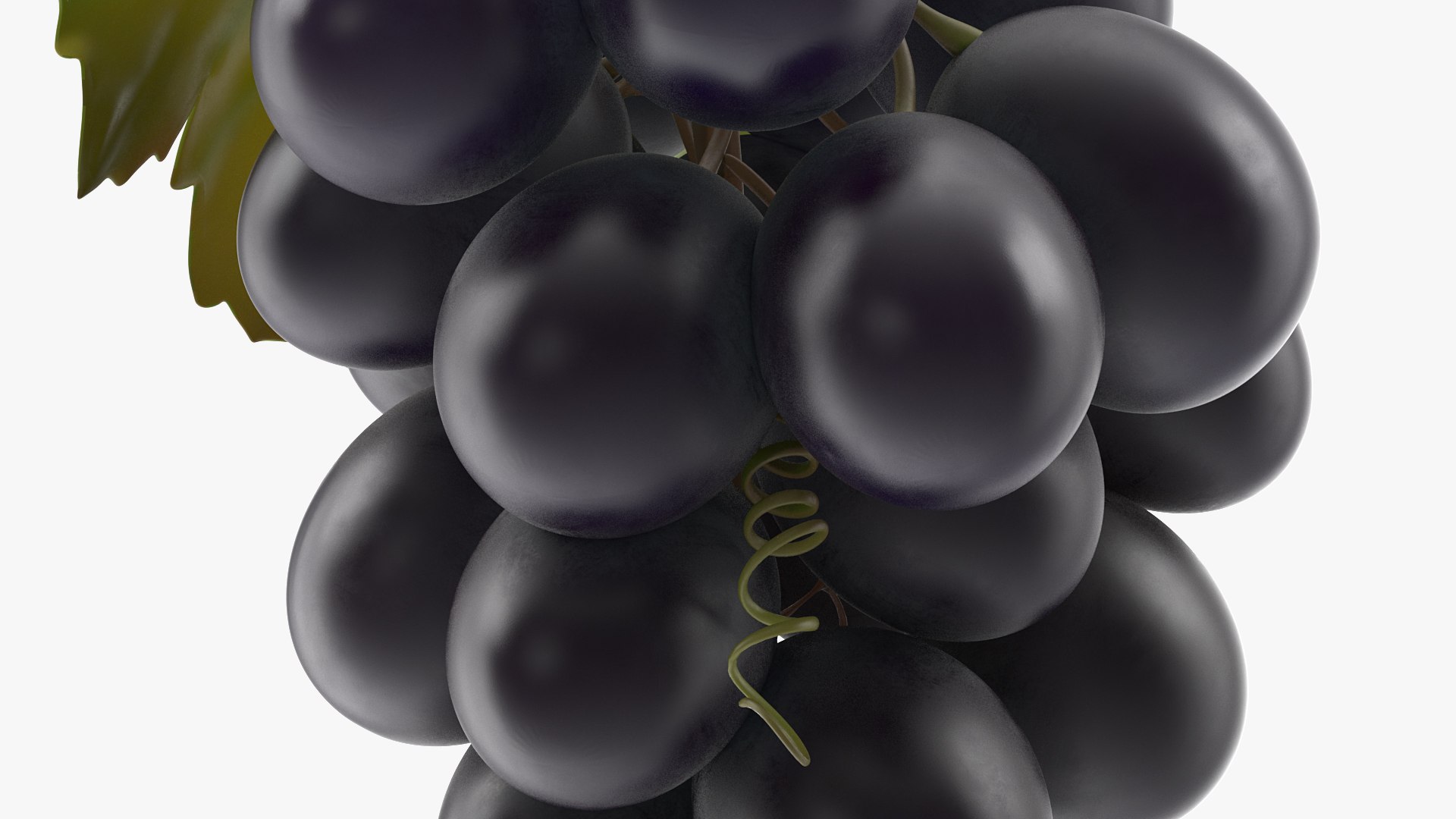 bunch fresh black grapes 3D model https://p.turbosquid.com/ts-thumb/MR/a9tQFq/q9iUoDx0/bunchoffreshblackgrapes3dsmodel007/jpg/1593427603/1920x1080/fit_q87/fca7c6c499cd0662b1657818435e5ce38d07dbfd/bunchoffreshblackgrapes3dsmodel007.jpg