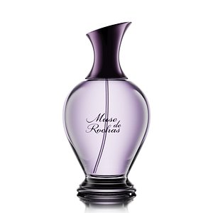 Muse de Rochas 3D model