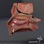 3d human senses ear nose model