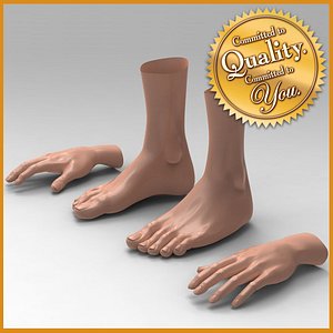 3d model female feet hand combo