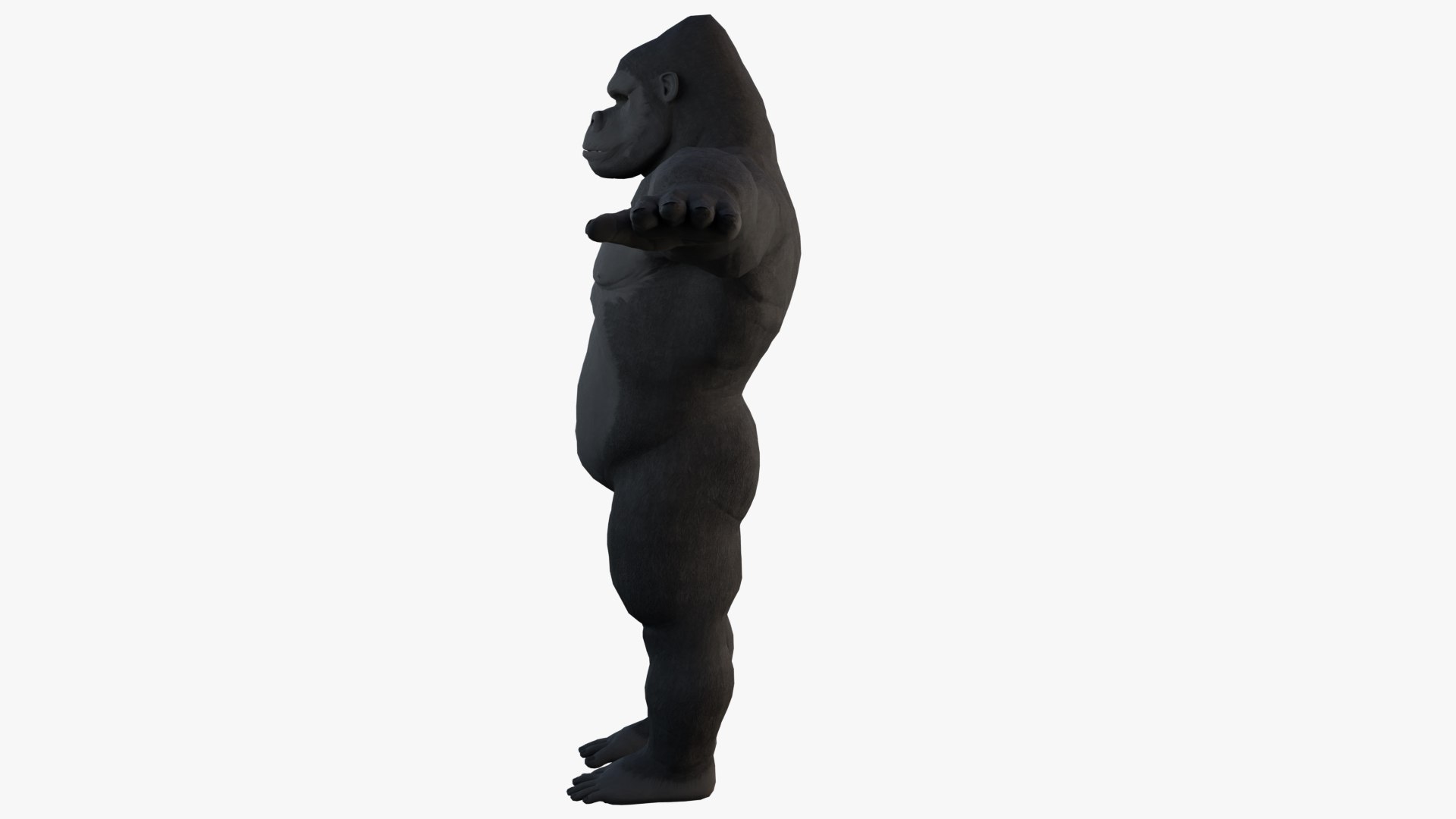 Gorilla - King Kong - v2 3D model https://p.turbosquid.com/ts-thumb/MR/wQPgeX/Cq/35/jpg/1644258122/1920x1080/fit_q87/9f47276424e93b6470f709c96c0eb1d1e00c90d3/35.jpg