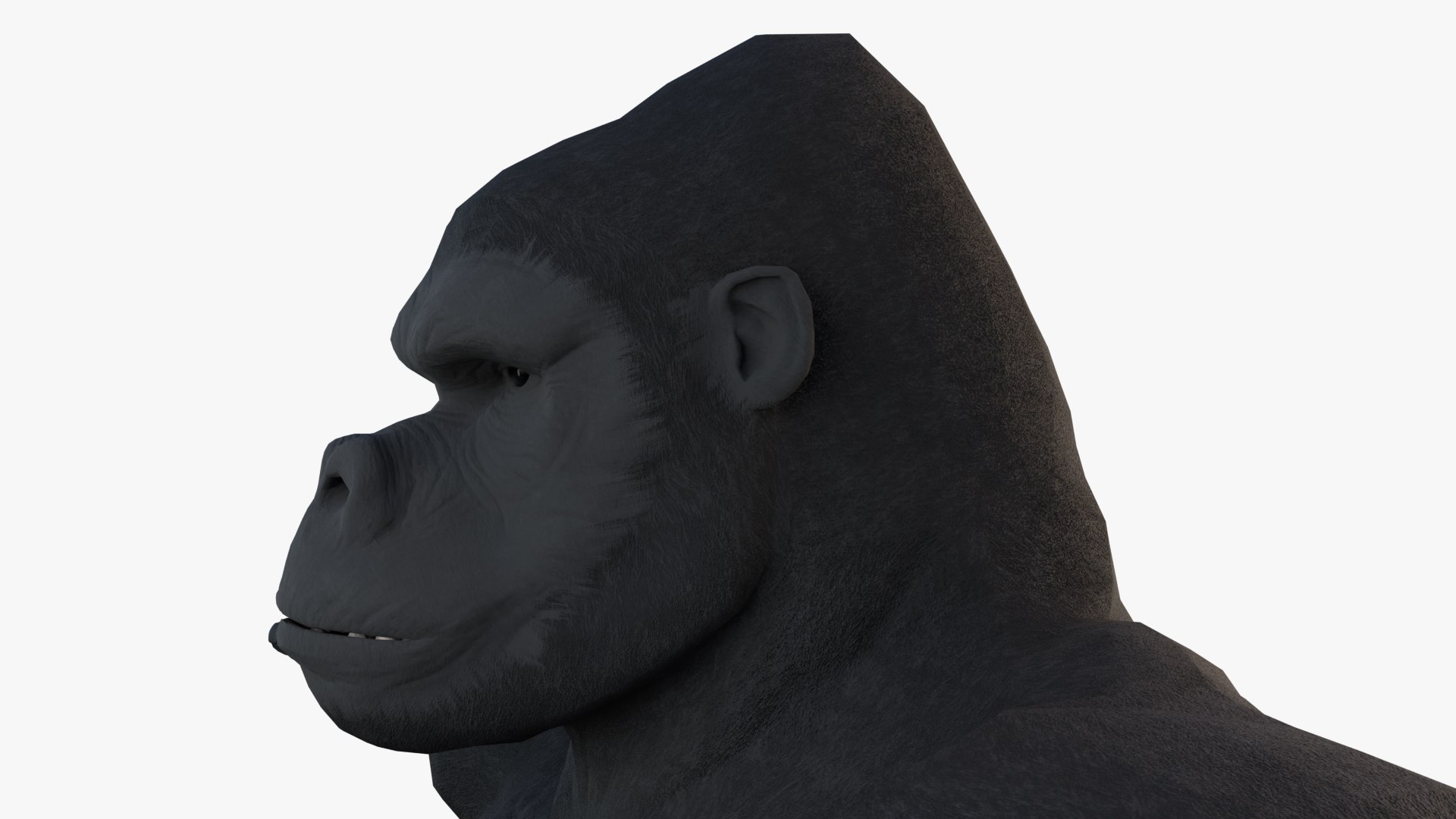 Gorilla - King Kong - v2 3D model https://p.turbosquid.com/ts-thumb/MR/wQPgeX/Gn/42/jpg/1644258130/1920x1080/fit_q87/180d8a485650baa443959877aac0237c5bfdf96f/42.jpg