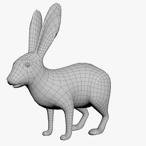 3D Rabbit