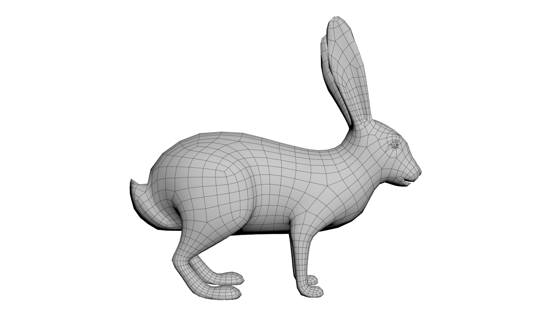 3D Rabbit - TurboSquid 1782560