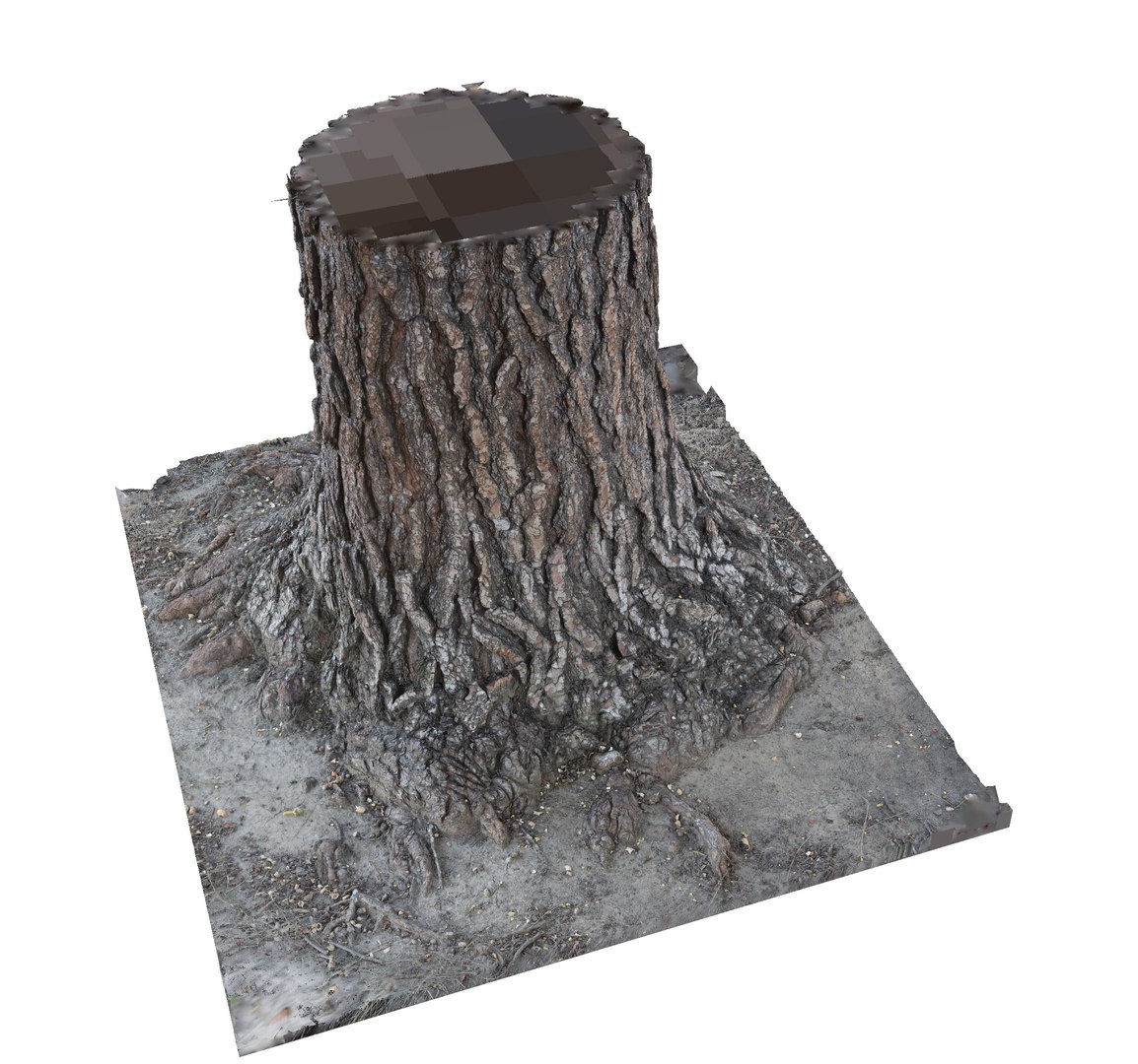 pine tree trunk bark 3D model https://p.turbosquid.com/ts-thumb/MS/7vBlE8/3ivgXQj3/pinetreetrunk_2/jpg/1553070071/1920x1080/fit_q87/e1794a4f65b0d4e768e513d129e0a42fd2402e2f/pinetreetrunk_2.jpg