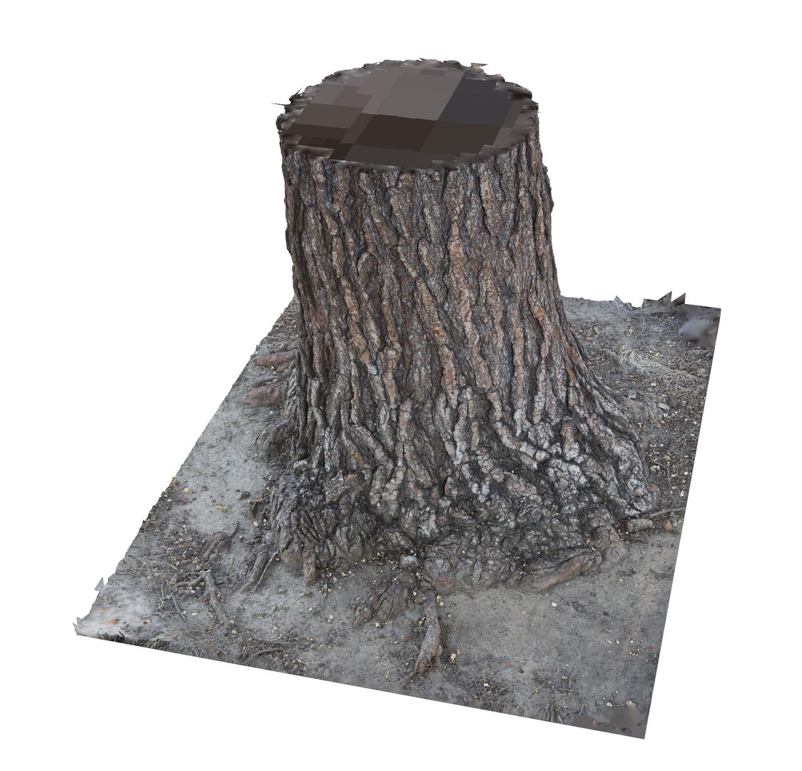 pine tree trunk bark 3D model https://p.turbosquid.com/ts-thumb/MS/7vBlE8/DZn3GTNO/pinetreetrunk_3/jpg/1553070081/1920x1080/fit_q87/4a53c95f495eb1e6d76018aead2bd72bfc1368f4/pinetreetrunk_3.jpg