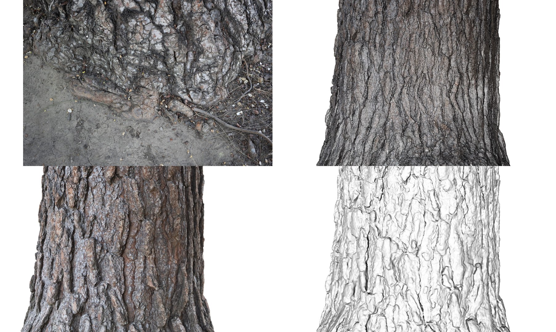 pine tree trunk bark 3D model https://p.turbosquid.com/ts-thumb/MS/7vBlE8/aiErffSx/pinetreetrunk_near/jpg/1555132744/1920x1080/fit_q87/d5d1b258c6d5544efddcb80d0d7fdc9d59b307b6/pinetreetrunk_near.jpg