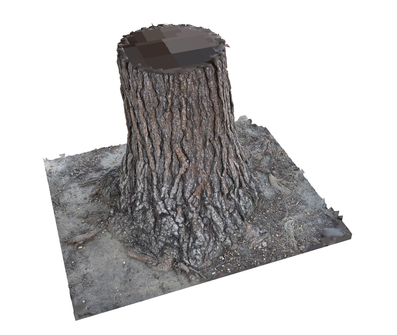 pine tree trunk bark 3D model https://p.turbosquid.com/ts-thumb/MS/7vBlE8/qOqr0pB6/pinetreetrunk_4/jpg/1553070092/1920x1080/fit_q87/ca4f44f8834267c70cf2b512a662bd87b691778b/pinetreetrunk_4.jpg