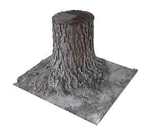 pine tree trunk bark 3D model