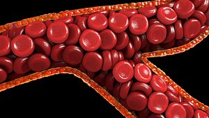 3d small branched blood vessel model