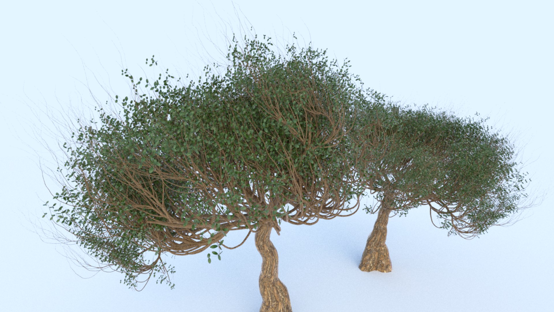 tree model https://p.turbosquid.com/ts-thumb/MS/BzB1IM/LyH139xs/6/png/1604939868/1920x1080/fit_q87/839f643f7eae045bc5beddb1e5f59174fa0c2515/6.jpg