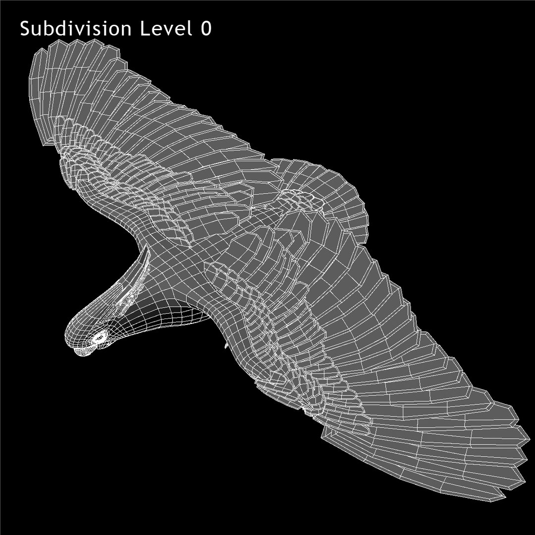 cacatua galerita sulphur-crested cockatoo obj https://p.turbosquid.com/ts-thumb/MS/JX00Gm/AS5GvWwU/ww01/jpg/1418054283/1920x1080/fit_q87/6a39cba2f85e579527c6e65aee417a08c99fde75/ww01.jpg