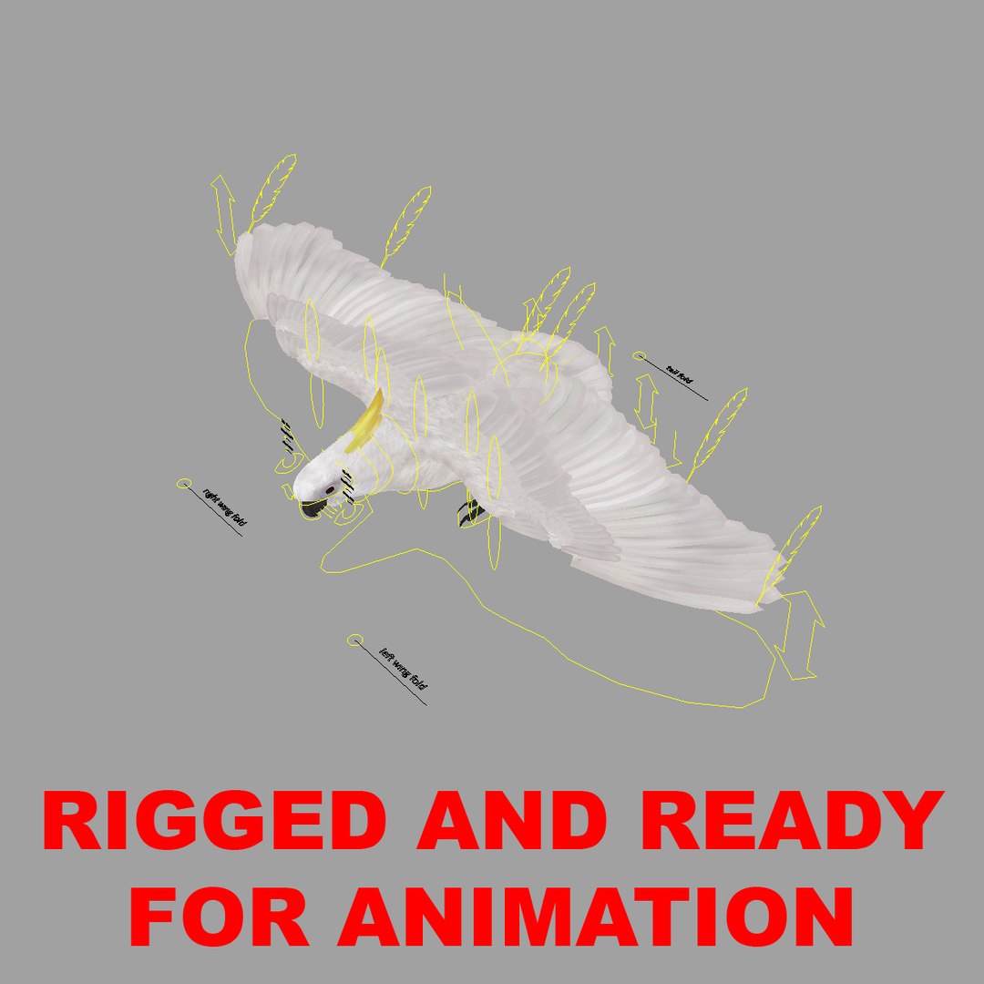 cacatua galerita sulphur-crested cockatoo obj https://p.turbosquid.com/ts-thumb/MS/JX00Gm/bKCv9m3i/rigged/jpg/1418054075/1920x1080/fit_q87/d5181005d932d56b756ad206244ab6fc4c795367/rigged.jpg