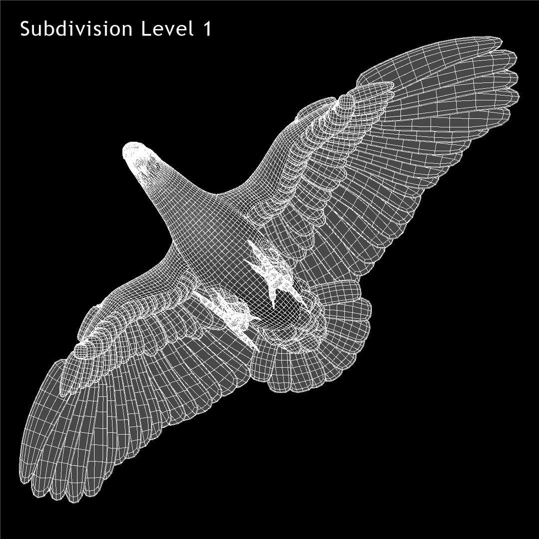 cacatua galerita sulphur-crested cockatoo obj https://p.turbosquid.com/ts-thumb/MS/JX00Gm/qe53V7Up/ww04/jpg/1418054283/1920x1080/fit_q87/7b1c269960c7da77a851700a2a2ac3af0a7bc96c/ww04.jpg