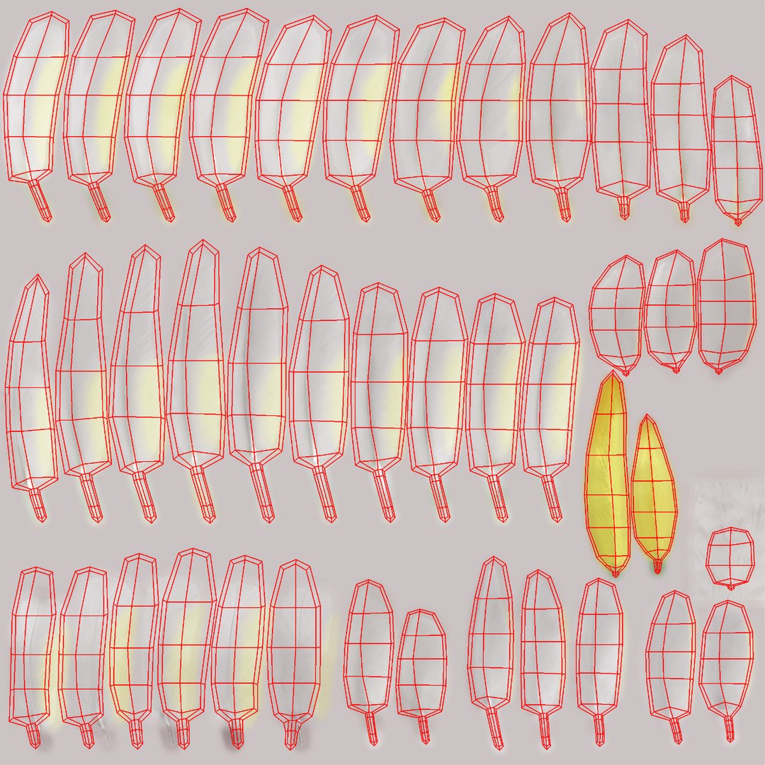 cacatua galerita sulphur-crested cockatoo obj https://p.turbosquid.com/ts-thumb/MS/JX00Gm/tktUYhxz/feathers_uv/jpg/1418054316/1920x1080/fit_q87/6e77a0b958749330f53a08002e7848d0eb4e4956/feathers_uv.jpg