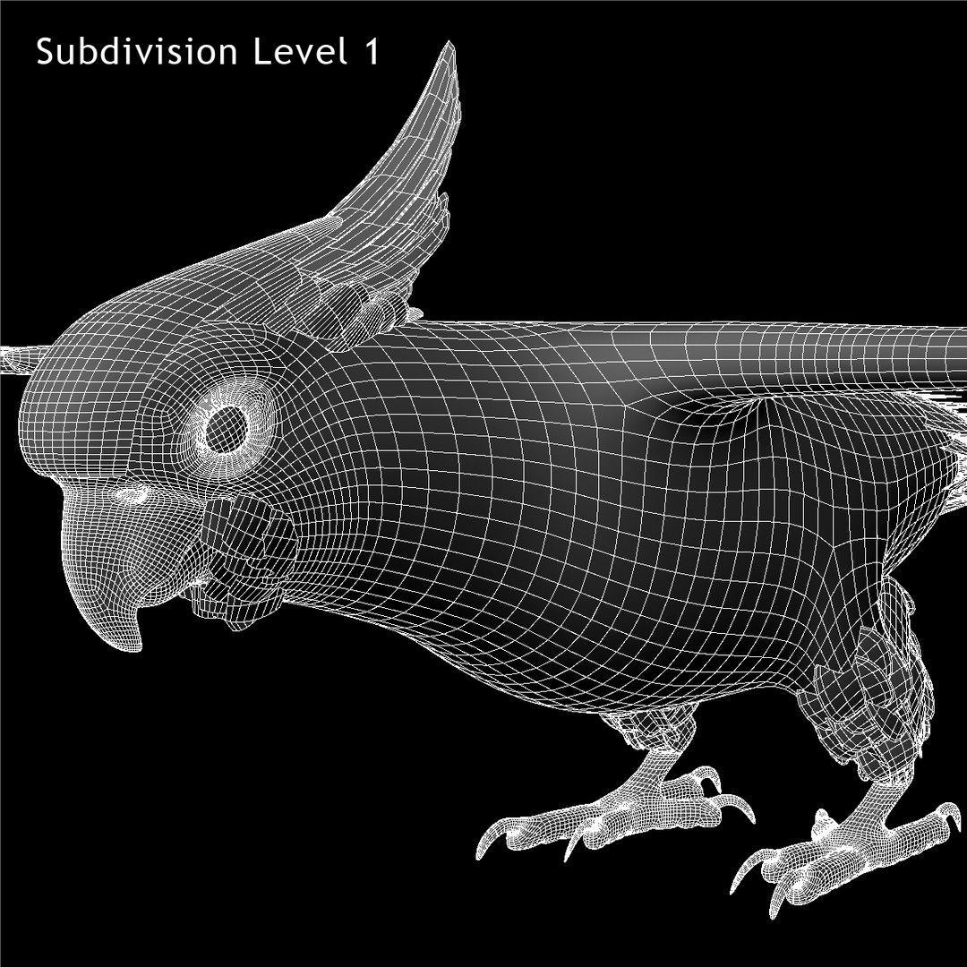 cacatua galerita sulphur-crested cockatoo obj https://p.turbosquid.com/ts-thumb/MS/JX00Gm/xR6u5MFB/ww06/jpg/1418054283/1920x1080/fit_q87/37da6e0200ea977b0e3444aab738f2ce2d942b4c/ww06.jpg