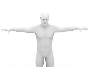 3d model of body