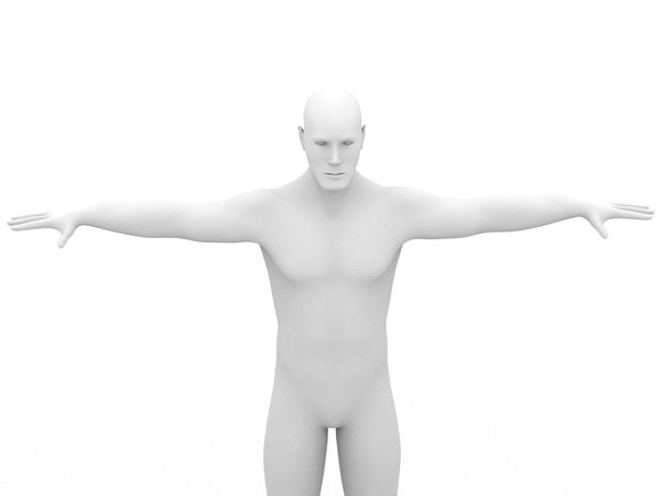 3d model of body