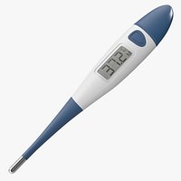 Digital Thermometer 3D Model