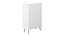 Yellar Nordic Entryway White Shoe Storagel