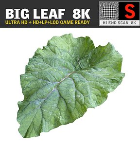 BIG LEAF 8K Ultra HD