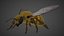 Insect Collection Bee Butterfly Housefly Tarantula 3D model