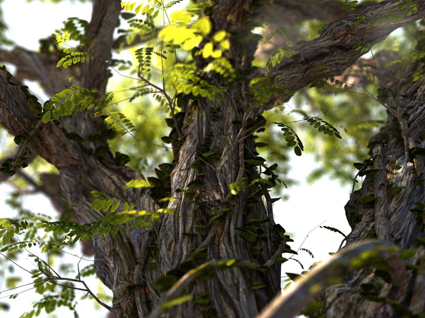 3D Tree Hd Model - TurboSquid 1286893