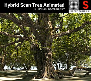 Tree Animated HD